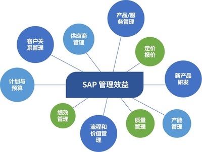 SAP外包型售后服务中的外包服务供应商管理 价值、挑战与优化策略